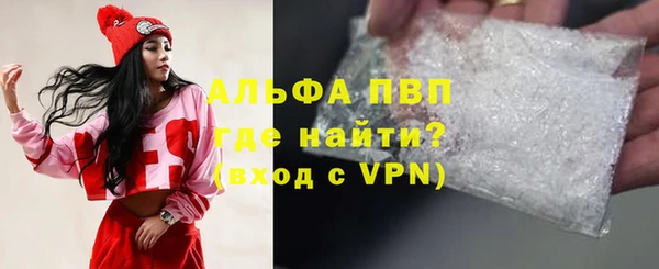 амф Гусиноозёрск