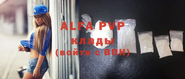 ECSTASY Гусев