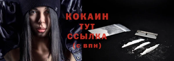 дживик Гусь-Хрустальный