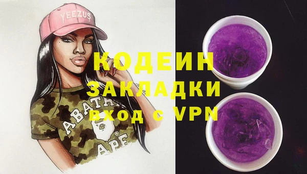амф Гусиноозёрск