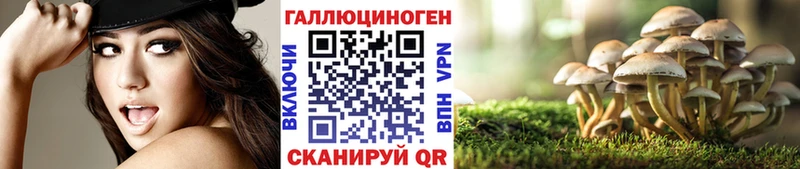 Галлюциногенные грибы мицелий  Купить  Чкаловск 